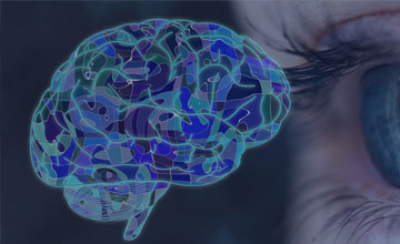 neuro-ophthalmology